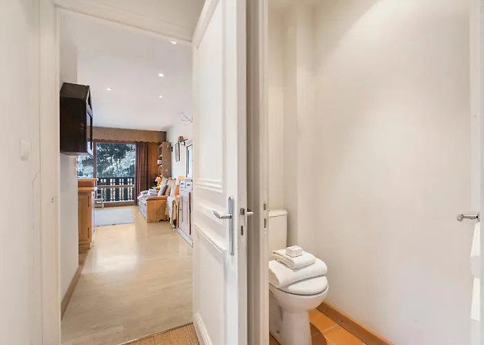 Du Plan Praz-brevent- Happy Apartman Chamonix